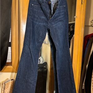 Express Dark Indigo Flared Jeans